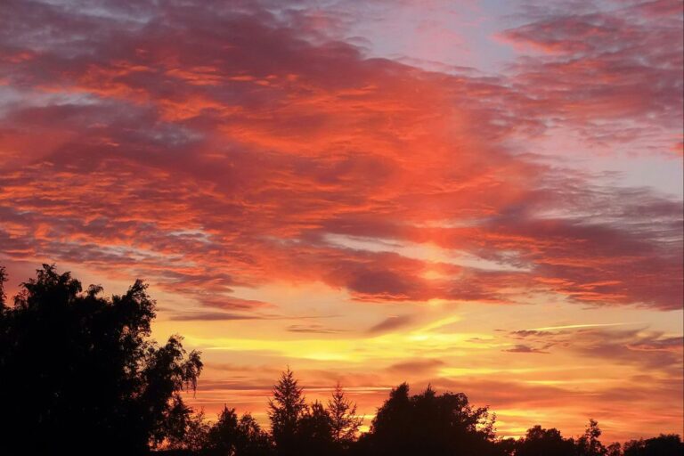 Dalgård Camping - Bild 10