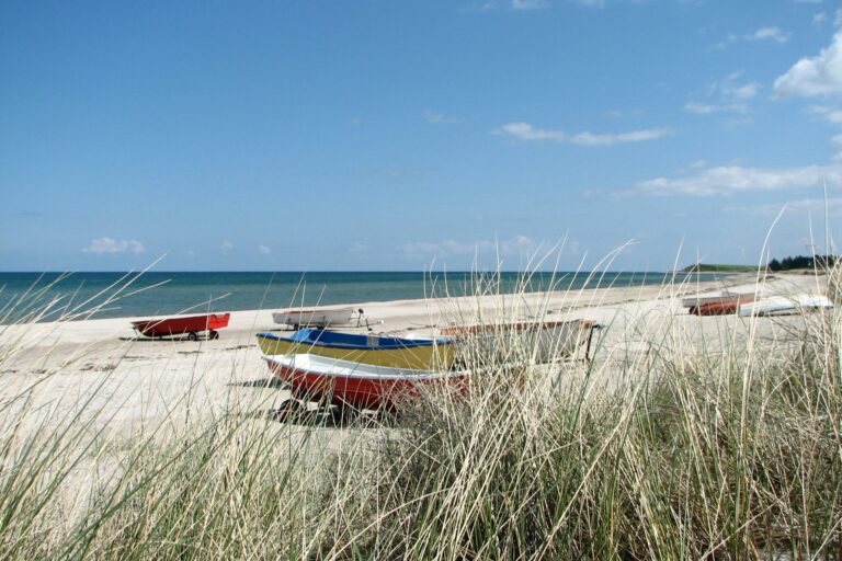 Dalgård Camping - Bild 11