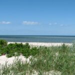 Dalgård Camping - Bild 12