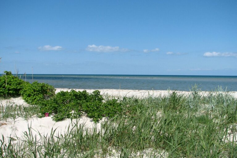 Dalgård Camping - Bild 12