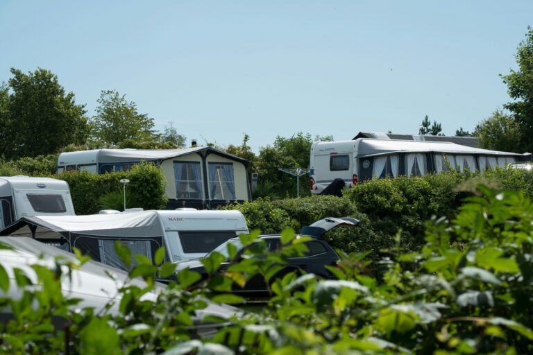 Dalgård Camping - Bild 14