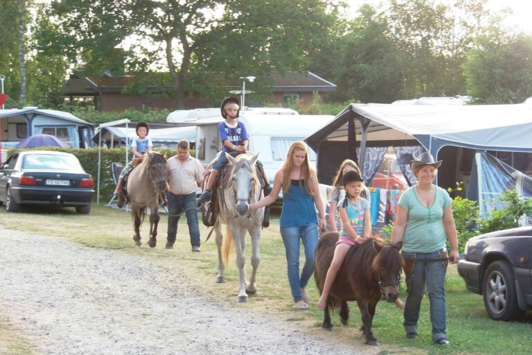 Dalgård Camping - Bild 19