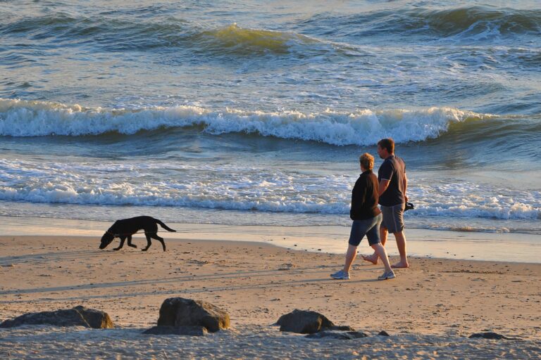 Dancamps Holmsland - Bild 10