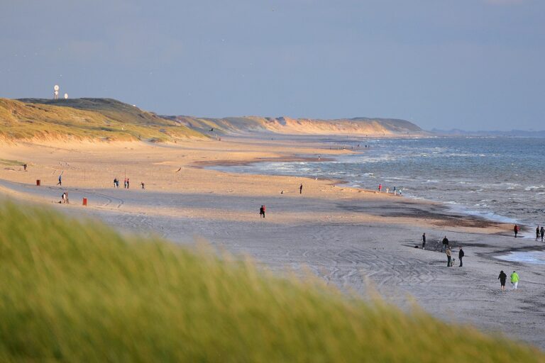 Dancamps Holmsland - Bild 11