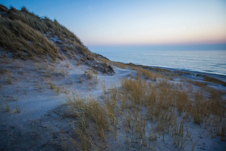 Dancamps Holmsland - Bild 12