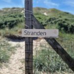 Dancamps Holmsland - Bild 13