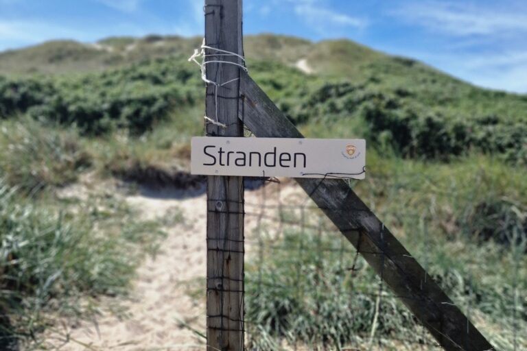 Dancamps Holmsland - Bild 13