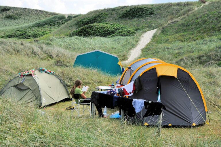 Dancamps Holmsland - Bild 6