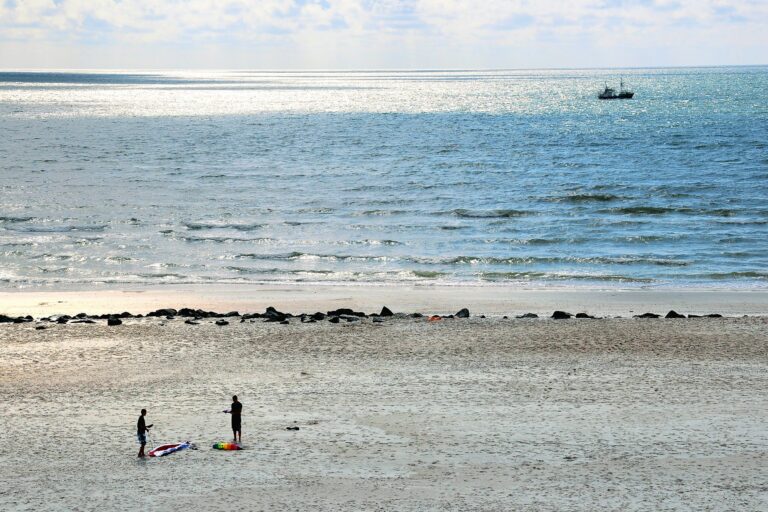 Dancamps Holmsland - Bild 9