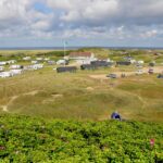 Dancamps Holmsland - Bild 1