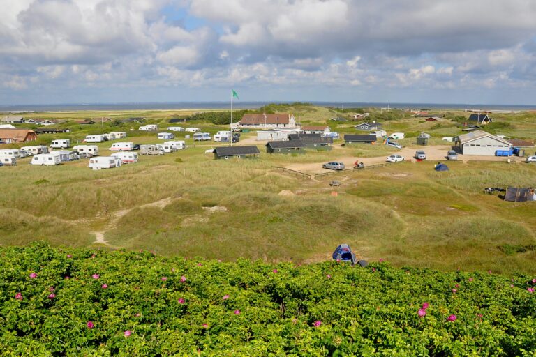 Dancamps Holmsland - Bild 1 Dancamps Holmsland - Bild 1