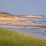 Dancamps Nordsø - Bild 6