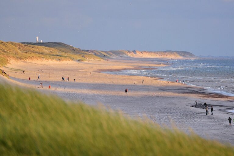 Dancamps Nordsø - Bild 6