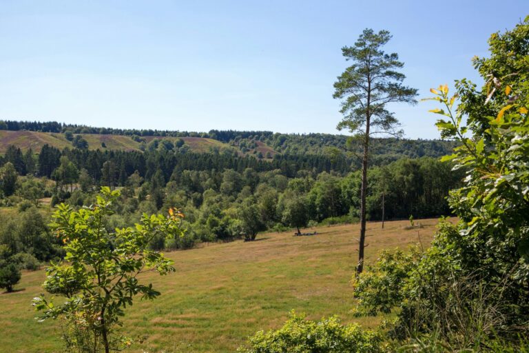 Dcu Camping Silkeborg - Hesselhus - Bild 9