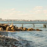 Dcu-camping Aarhus - Blommehaven - Bild 6