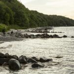 Dcu-camping Aarhus - Blommehaven - Bild 7