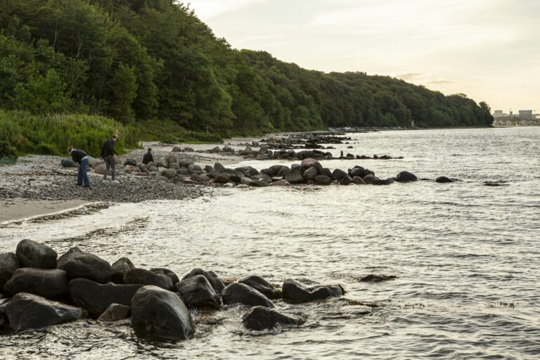 Dcu-camping Aarhus - Blommehaven - Bild 7