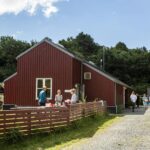 Dcu-camping Aarhus - Blommehaven - Bild 9