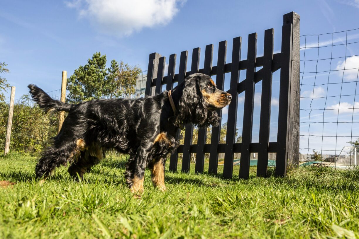 Dcu-camping Rågeleje Strand - Bild 7 Dcu-camping Rågeleje Strand - Bild 7