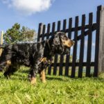 Dcu-camping Rågeleje Strand - Bild 7 Dcu-camping Rågeleje Strand - Bild 7