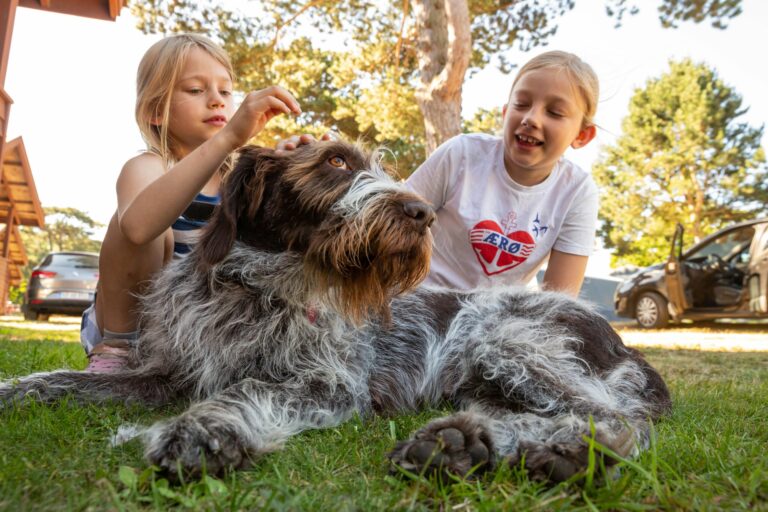 Dcu-camping Rønne Strand - Galløkken - Bild 7