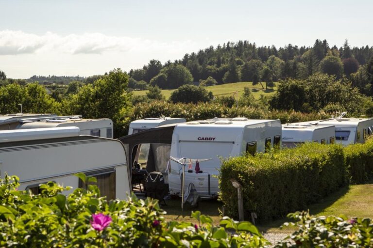 Dcu-camping Tranum - Bild 11