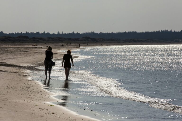 Dcu-camping Tranum - Bild 3