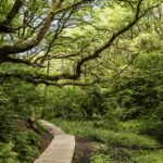 Dcu-camping Tranum - Bild 4