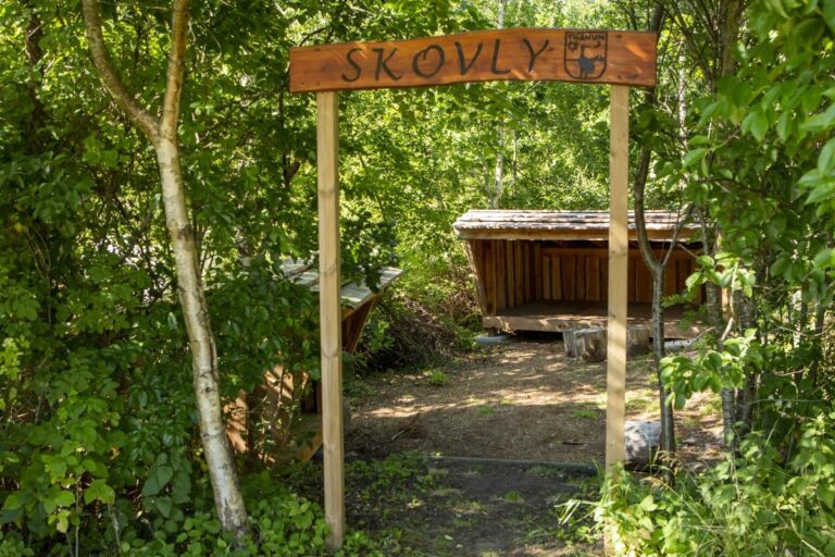 Dcu-camping Tranum - Bild 9