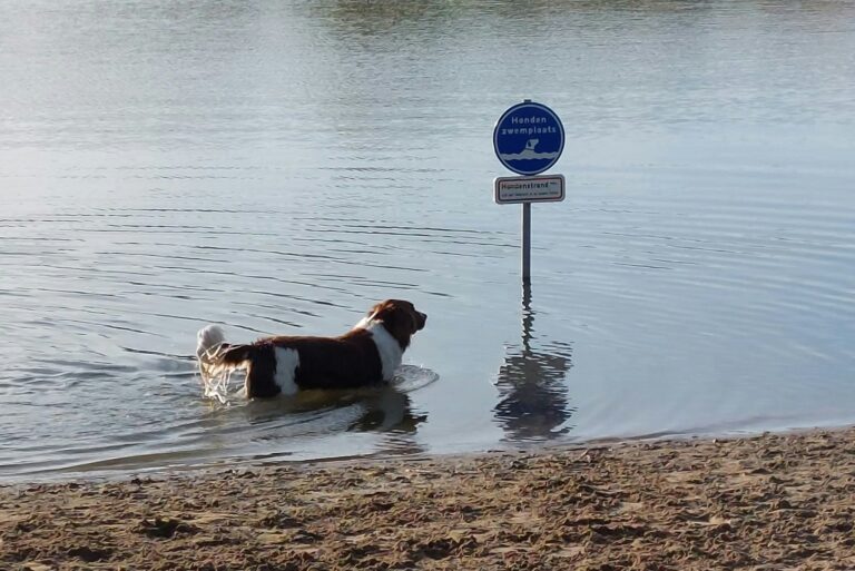 De Gouwe Stek - Bild 7