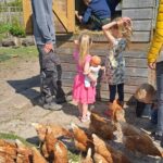 De Gouwe Stek - Bild 9