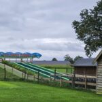 De Happyfarm - Bild 4