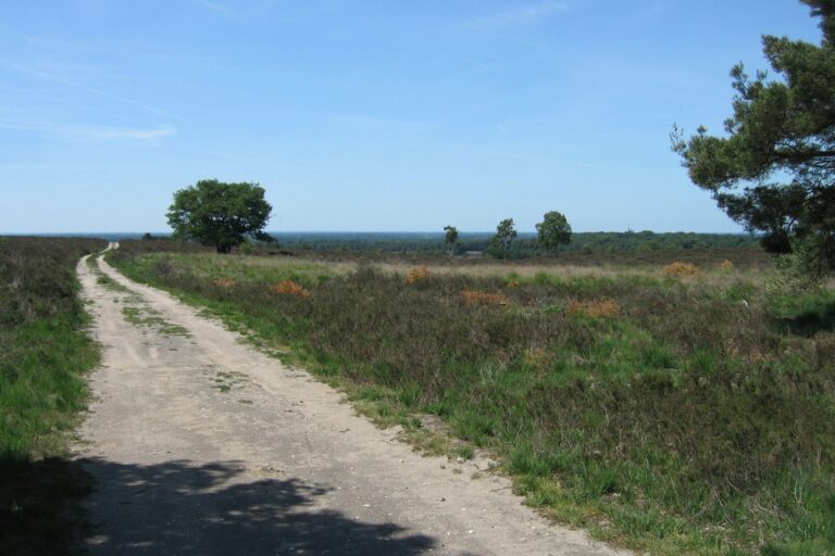 De Heidebloem Recreatie - Bild 11