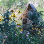 De Heidebloem Recreatie - Bild 18