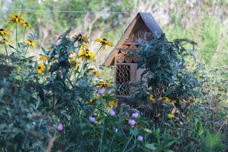 De Heidebloem Recreatie - Bild 18