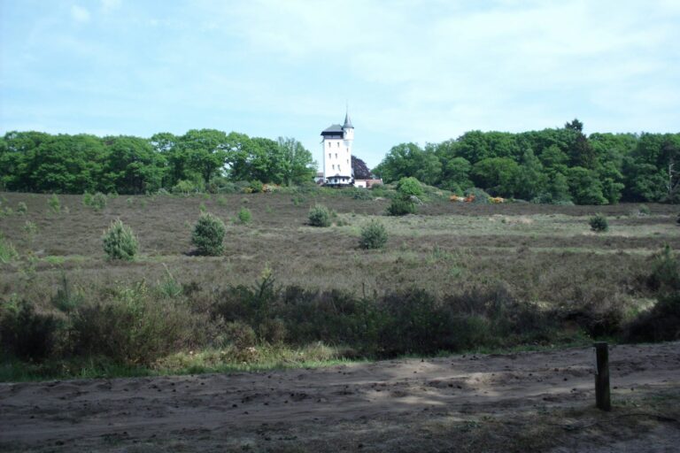 De Heidebloem Recreatie - Bild 8