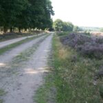 De Heidebloem Recreatie - Bild 9