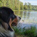 Degernäs Camping - Bild 13 Degernäs Camping - Bild 13