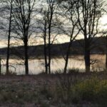 Degernäs Camping - Bild 14 Degernäs Camping - Bild 14