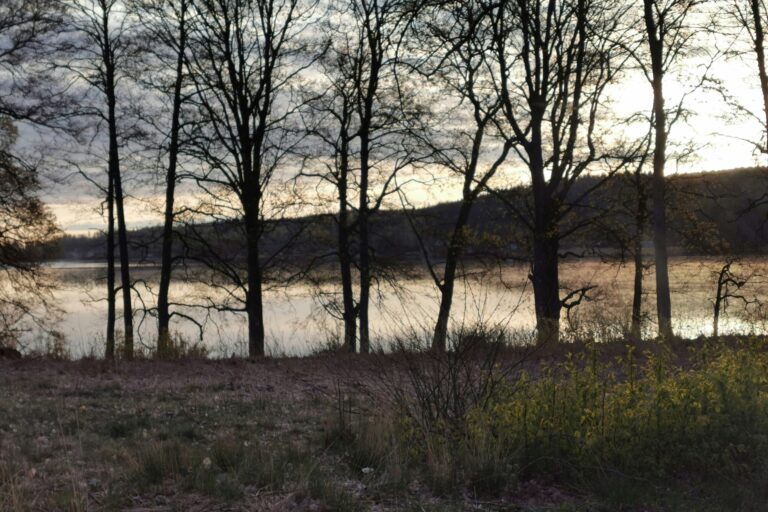 Degernäs Camping - Bild 14 Degernäs Camping - Bild 14