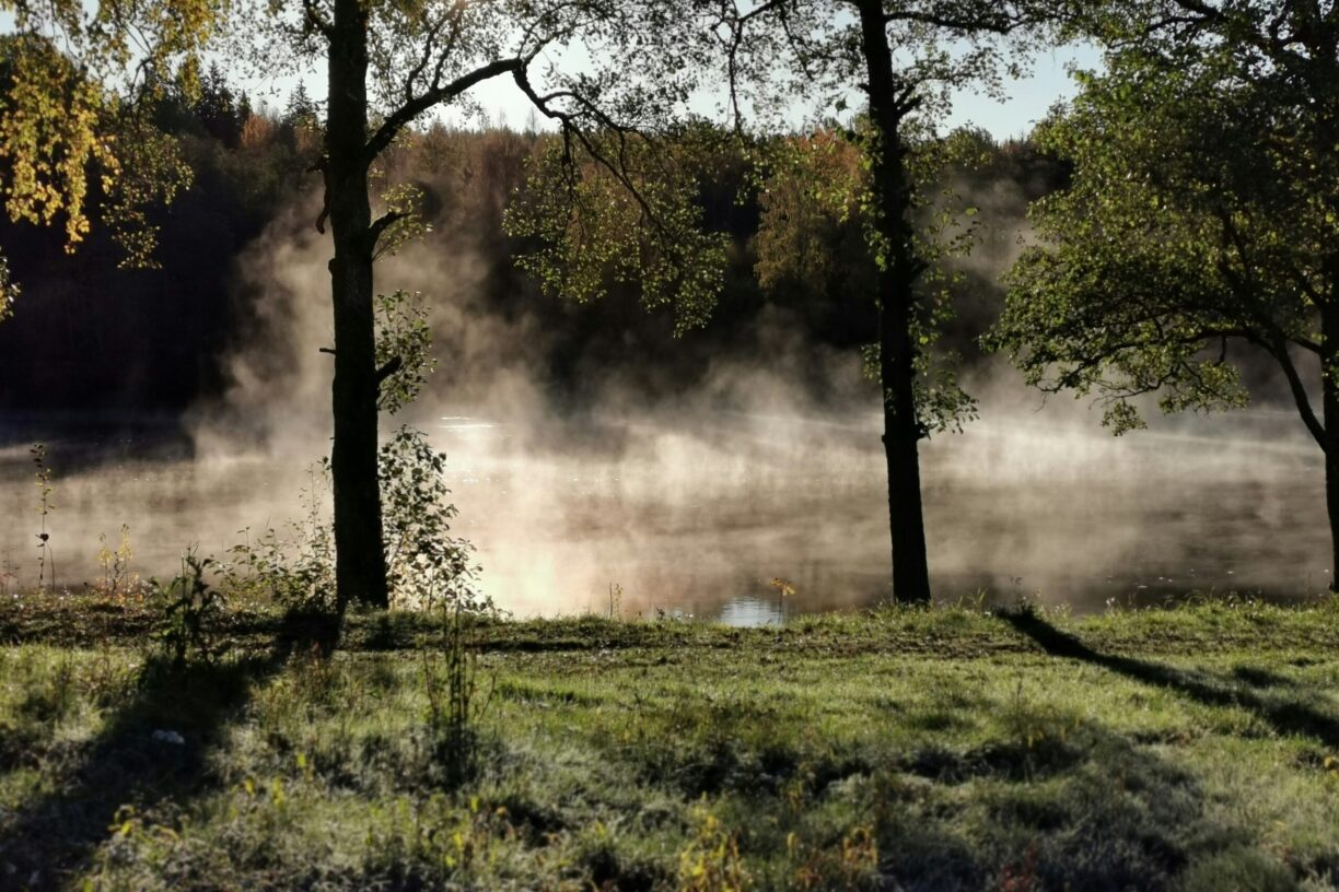 Degernäs Camping - Bild 16 Degernäs Camping - Bild 16