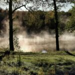 Degernäs Camping - Bild 16 Degernäs Camping - Bild 16