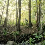 Destination Apelviken - Bild 5