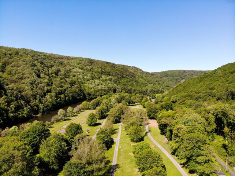 Domaine D'haulmé - Bild 3