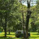 Domaine D'haulmé - Bild 7