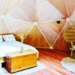 Domaine D'haulmé - Bild 9