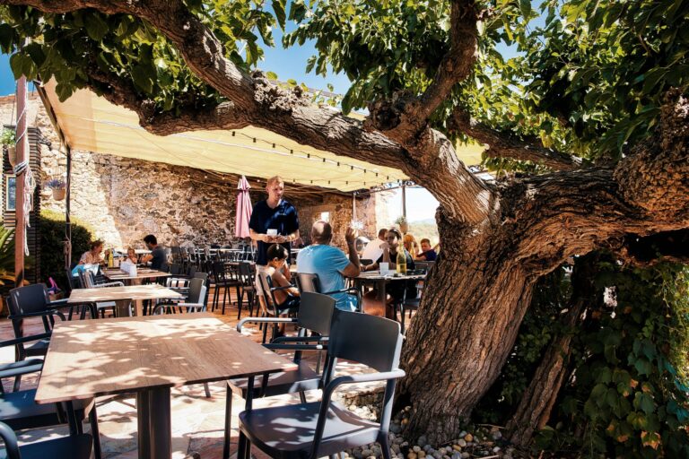 Domaine De La Bergerie - Bild 18