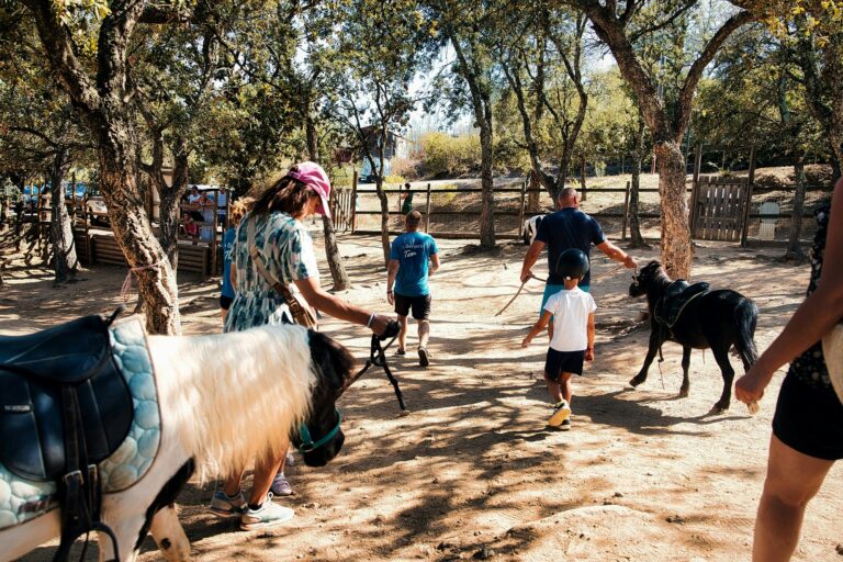Domaine De La Bergerie - Bild 20