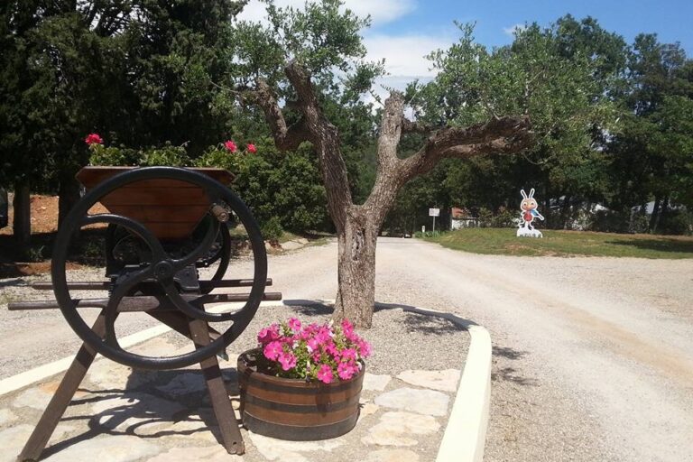 Domaine De La Cigalière - Bild 4