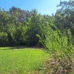 Domaine De L'écluse - Bild 13